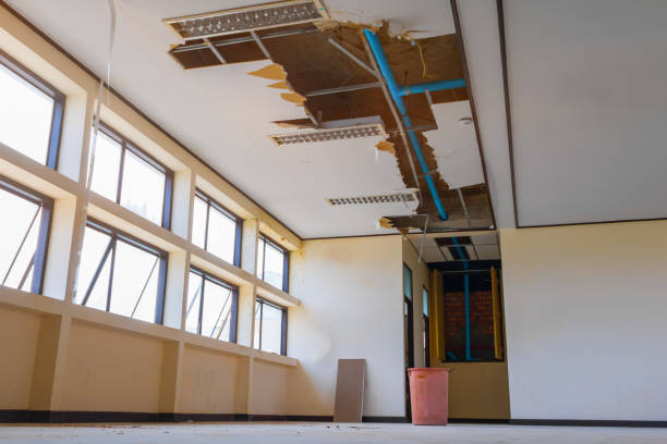 Best Commercial water damage restoration  in Alpine, TX