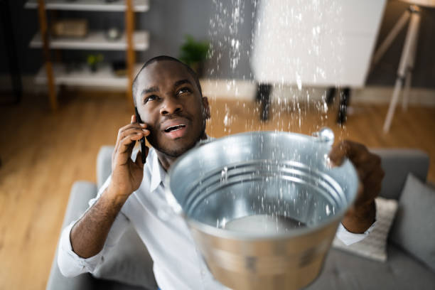 Best 24/7 water damage repair  in Alpine, TX