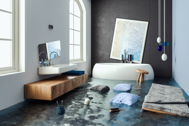 Best Professional water damage repair  in Alpine, TX