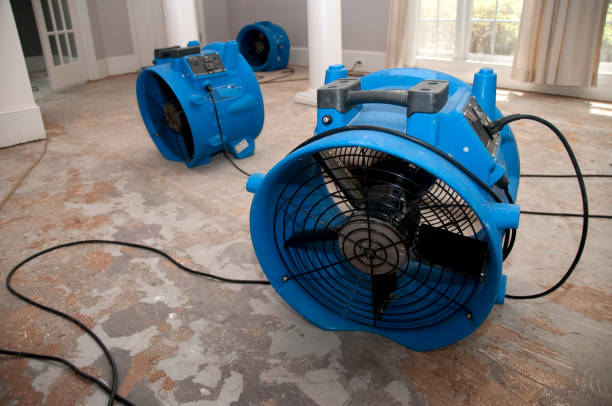 Best Basement water damage restoration  in Alpine, TX