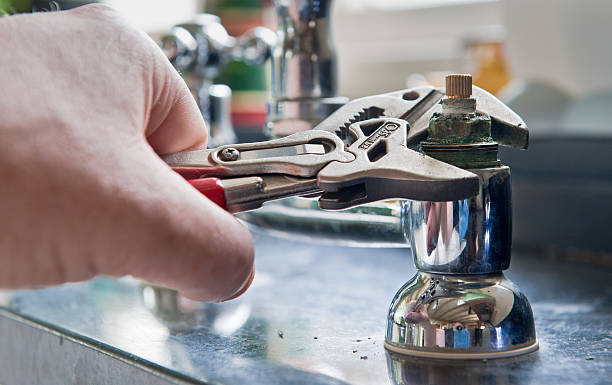 Best Mold removal after water damage  in Alpine, TX