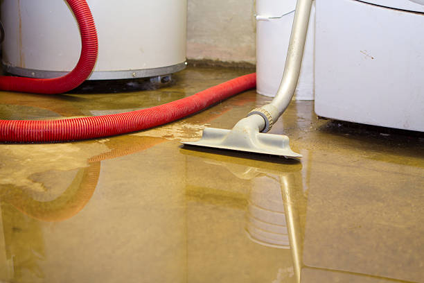 Best Local water damage restoration  in Alpine, TX