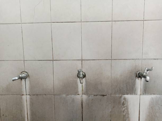 Best Flood restoration services  in Alpine, TX
