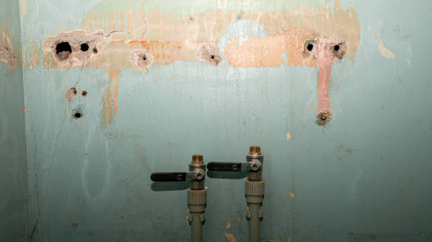 Best Water damage restoration cost  in Alpine, TX