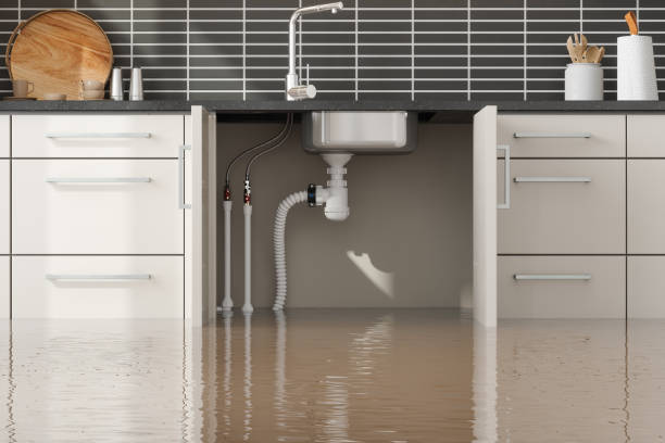 Best 24-hour water damage restoration  in Alpine, TX
