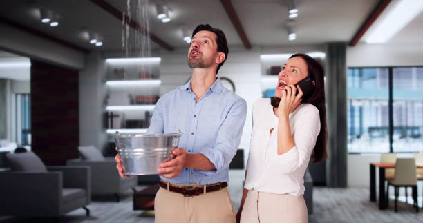 Best Sewage cleanup and water damage restoration  in Alpine, TX