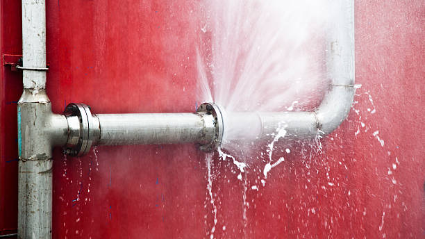 Best Water damage restoration specialists  in Alpine, TX
