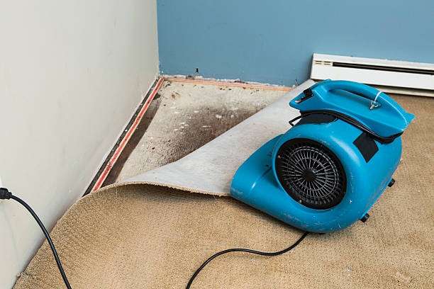 Best Carpet water damage restoration  in Alpine, TX